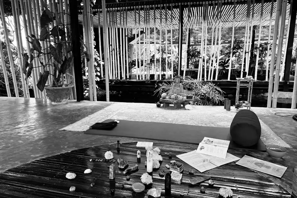 soins reiki genève - consultation bien etre