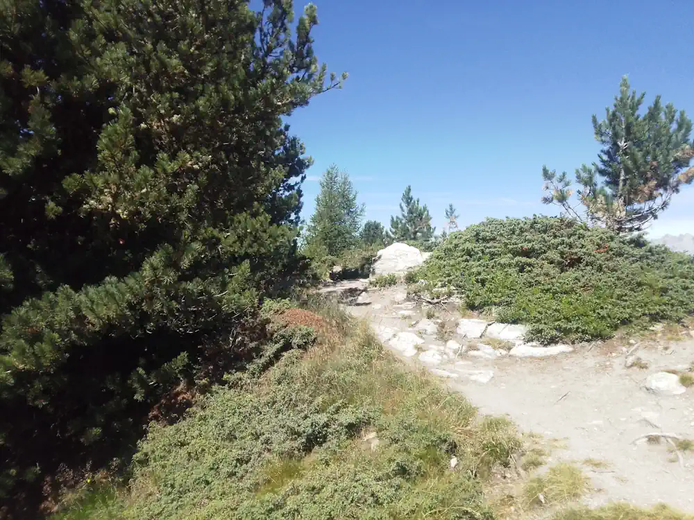 accompagnement burn out Genève - nature montagne